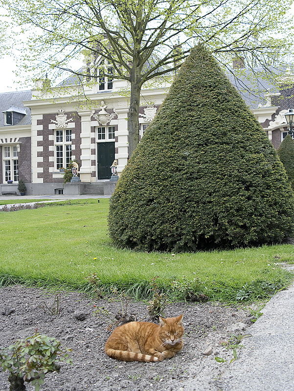 Holland 04-2014 ---20140421_0214 Kopie.jpg - Ein kleines Schloss mit Vorgartenbewohner